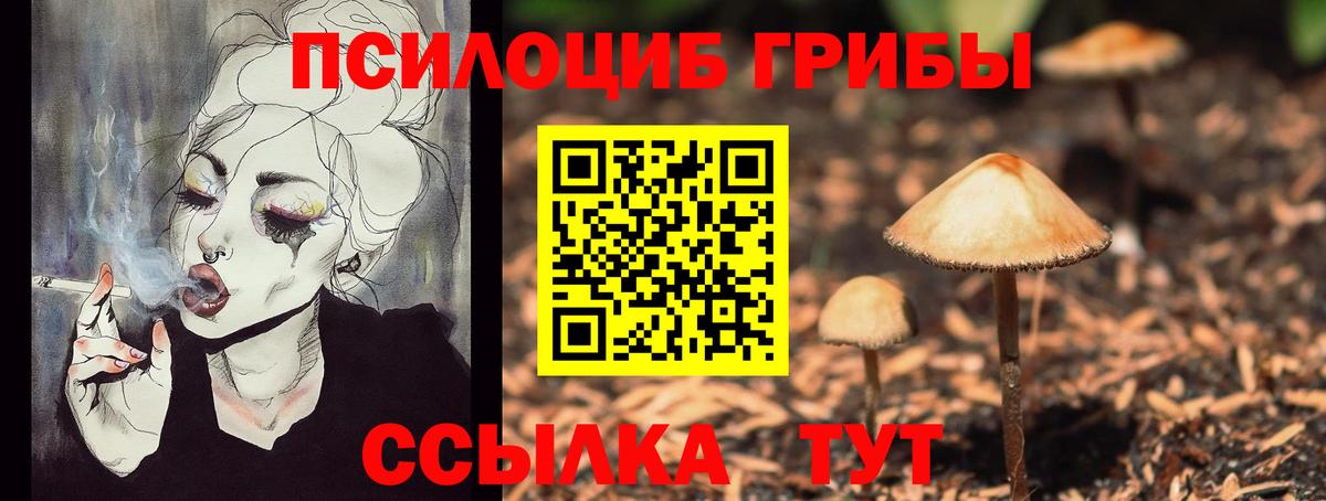 Галлюциногенные грибы Magic Shrooms  Галлюциногенные грибы Psilocybine cubensis  Керчь  Вход с VPN 